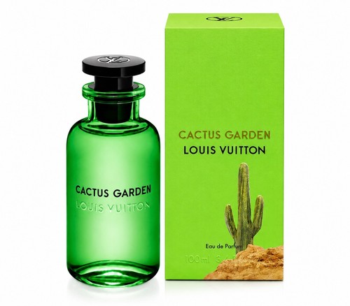 Louis vuitton cactus - louis,